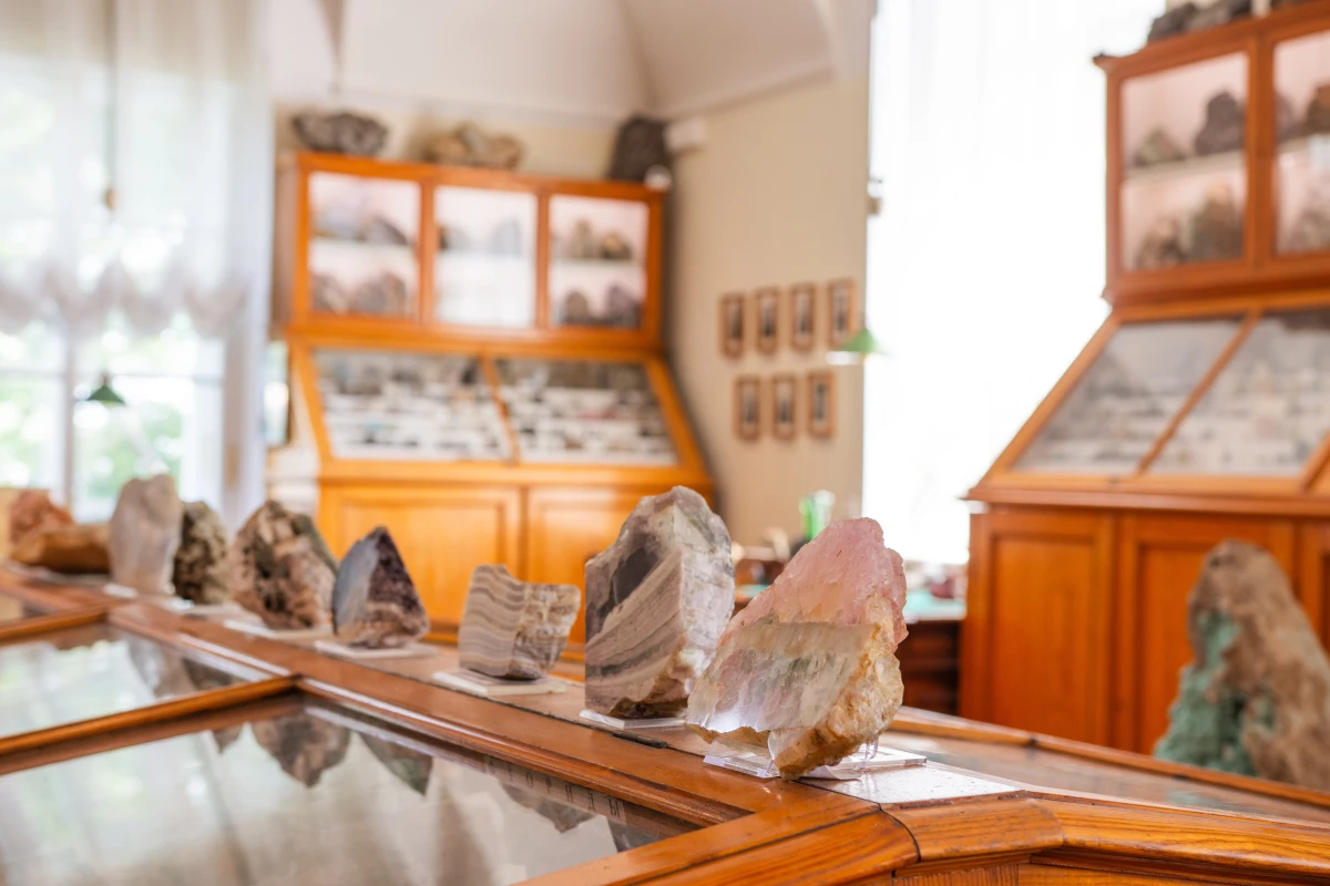 Билет на обзорную экскурсию в Минералогический музей, фото 3