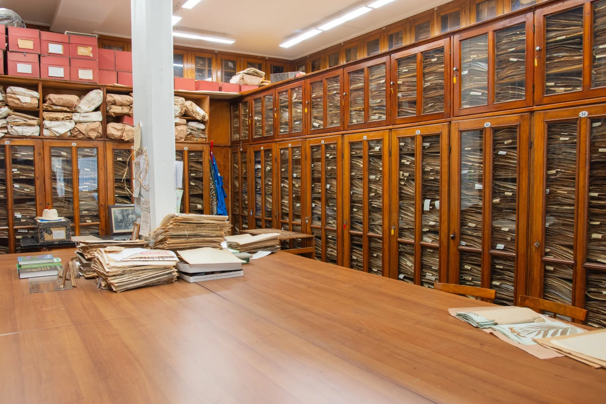 Билет на обзорную экскурсию в Гербарий СПбГУ, фото 3