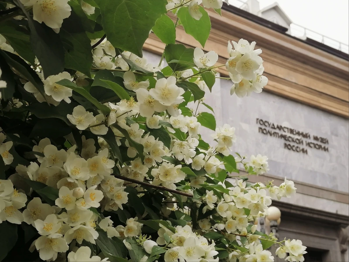 Спектакль «Ребята нашего двора», фото 1