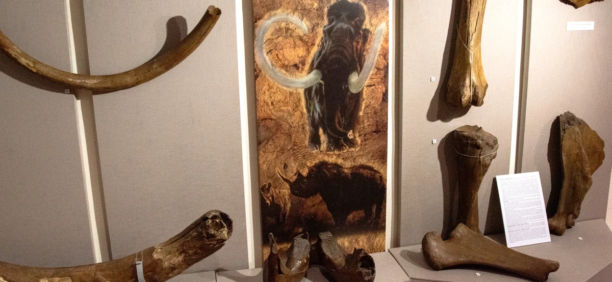 Историческая экспозиция, фото 1