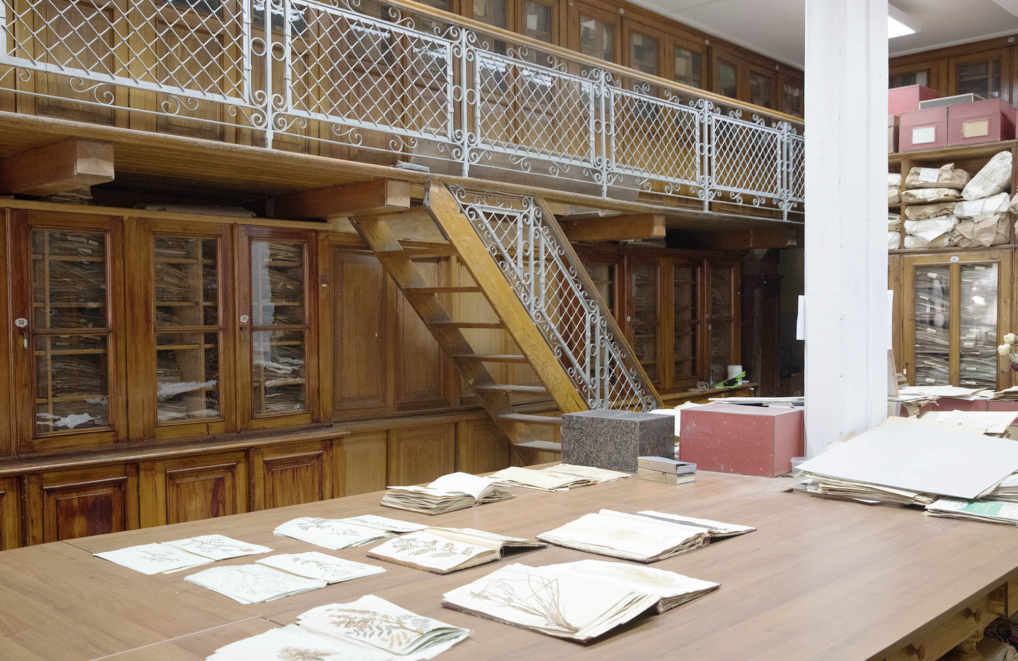 Билет на обзорную экскурсию в Гербарий СПбГУ